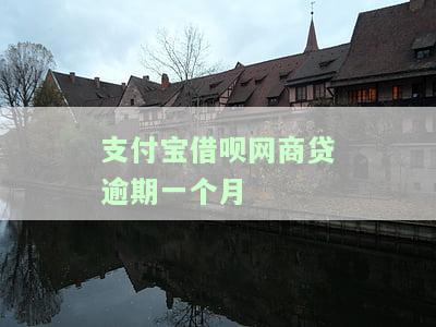 支付宝借呗网商贷逾期一个月怎么办，如何解决支付宝借呗、网商贷逾期一个月的问题？