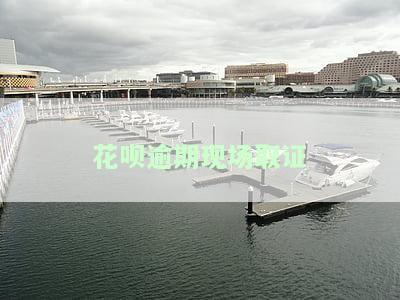 花呗逾期被通知工作人员要来调查取证,怎么办，应对花呗逾期：工作人员将进行调查取证，该怎么办？