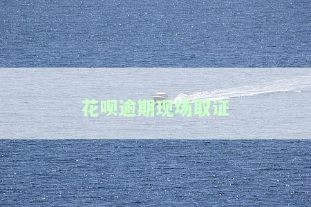 花呗逾期现场取证-花呗逾期现场取证要多久
