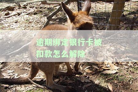 逾期后解绑银行卡，还会扣款吗？微粒贷、其他平台都适用
