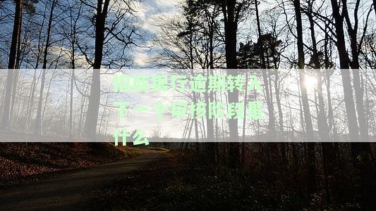 招商银行逾期转入下一个审核阶是什么意思，招商银行逾期：转入下一个审核阶的含义解析