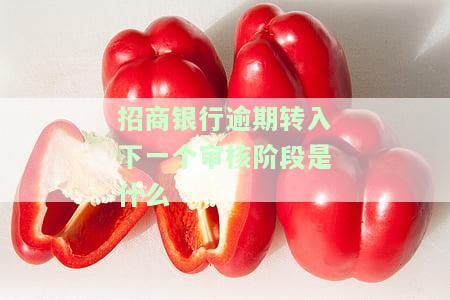 招商银行逾期两个月，审核部要求提交资料并可能面临诉讼风险