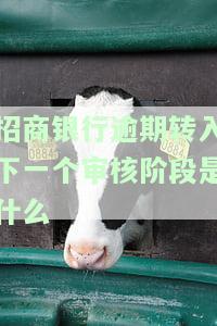 招商银行逾期转入下一个审核阶是什么-招商银行逾期转入下一个审核阶是什么意思
