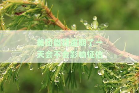 美团借钱逾期一天会影响征信吗？会对以后使用有影响吗？——一起来看看吧！
