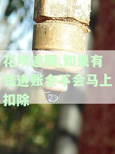 花呗逾期,如果有钱进账会不会马上扣除-花呗逾期,如果有钱进账会不会马上扣除