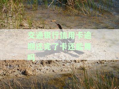 交通银行逾期了还了一点还能套出来吗，交通银行信用卡逾期还款后，如何再次申请？