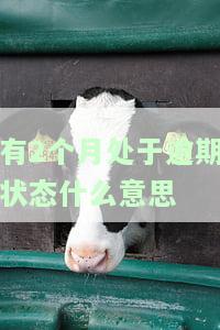有2个月处于逾期状态什么意思啊，解释：'有2个月处于逾期状态'的含义是什么？