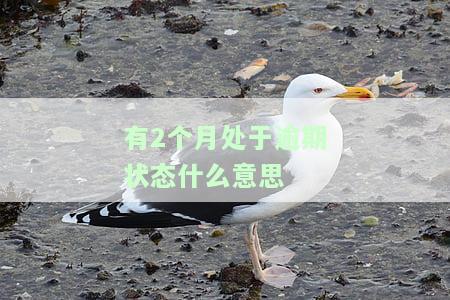 有两个月逾期算几次？——逾期状态解析