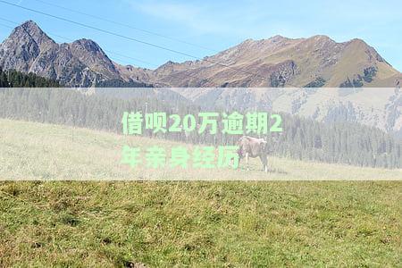 借呗逾期二十万，警惕！借呗逾期二十万可能带来的严重后果