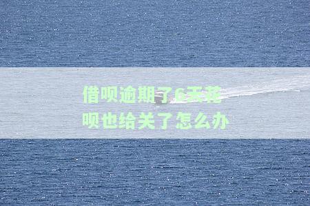 借呗逾期了6天花呗也给关了怎么办