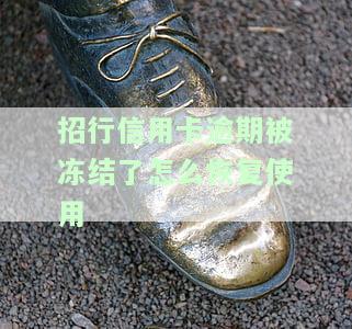 招行信用卡逾期被冻结了怎么恢复使用