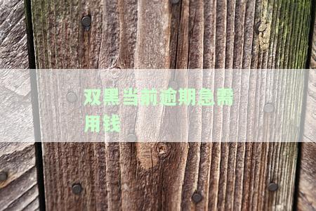 双黑有当前逾期怎么贷款，如何解决双黑背景下的当前逾期问题并成功申请贷款？