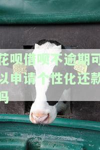 花呗借呗无逾期记录可以去银行借钱么，有无逾期记录影响银行借款？花呗借呗的信用记录能作为参考吗？