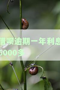 解决借呗逾期一年利息6000 问题的方法