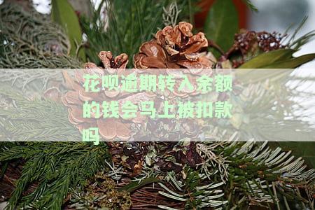 花呗逾期转入余额的钱会被立即扣款吗？安全吗？