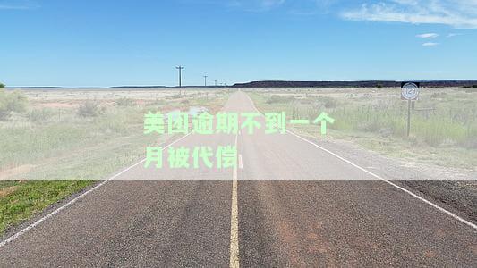美团逾期一个月还全款了,可以立马贷出来吗，美团逾期一个月后全额还款，能否立即申请贷款？