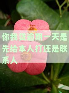 你我贷逾期一天是先给本人打还是联系人-你我贷逾期5天,打了一个联系人 说6点以前