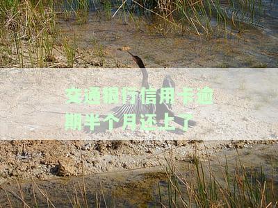 欠交通银行信用卡逾期几个月了会怎么办，信用卡逾期数月未还，交通银行将采取何种措？