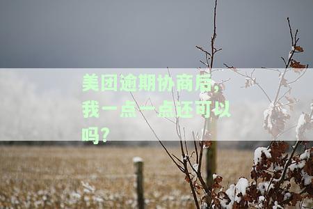 美团逾期协商方案是哪几种，揭秘美团逾期协商方案：你需要知道的几种解决办法