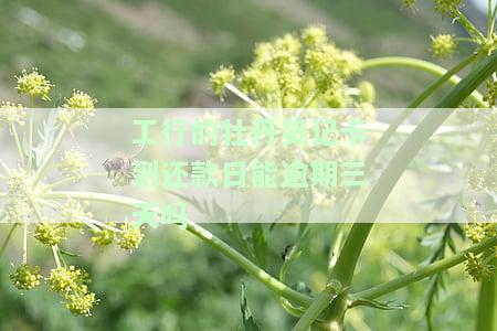 工商银行的牡丹贷记卡没使用过，仍需还款？该怎么办？
