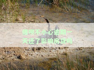 借呗不小心逾期一天还了影响房贷吗，借呗逾期一天还款，会影响申请房贷吗？