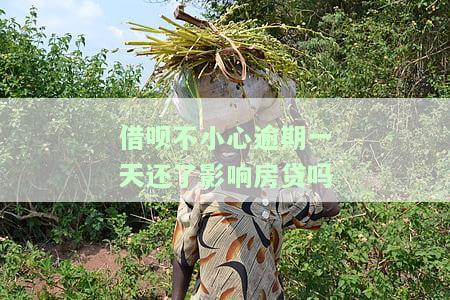 借呗逾期一天还款，会影响房贷申请吗？——知乎用户求助