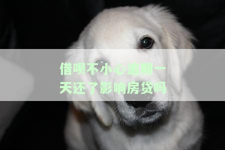 借呗不小心逾期一天还了影响房贷吗-借呗不小心逾期一天还了影响房贷吗怎么办