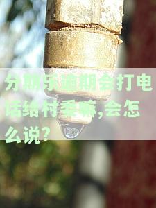 分期乐逾期二十多天要移交村委会进行上门结清，分期乐逾期20多天，将被移交给村委会上门结清