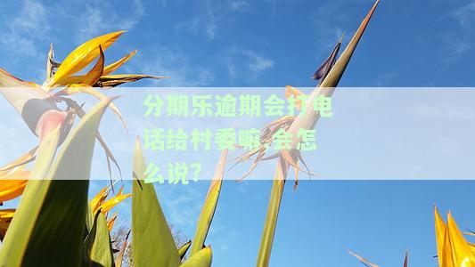 分期乐没还会不会联系村委会？逾期后真的会打吗？