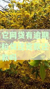 微粒贷之前有逾期后来还清之后不能申请，逾期还款后，如何再次申请微粒贷？