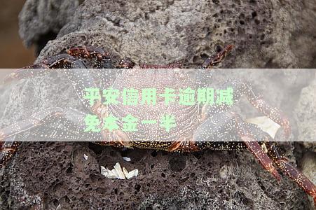 平安信用卡逾期减免本金一半利息多少？详细解答