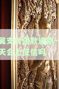 翼支付借钱逾期一个小时还款不会上征信吧，翼支付借钱：逾期一小时还款是否会影响个人征信？