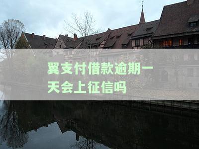 翼支付借钱晚一天上征信吗，翼支付借钱逾期一天是否会上征信？你需要知道的一切！