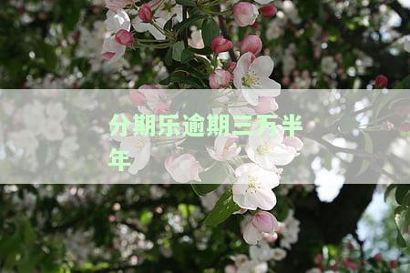 分期乐逾期三年了,从8000多现在要还19000多，分期乐逾期三年，原本8000元债务如今翻倍至19000多元！