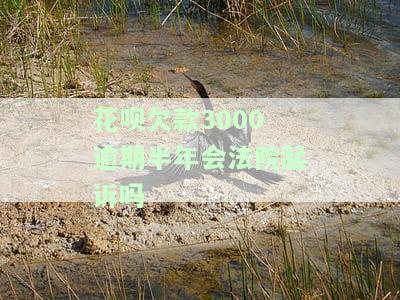 花呗欠三千逾期半年会有什么后果？法院会起诉吗？