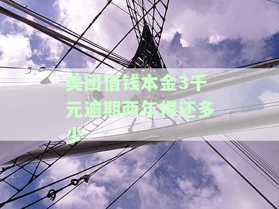 美团借钱一万多逾期三个月未还，将如何处理？
