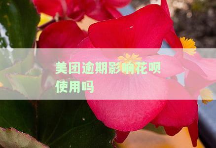 美团逾期影响花呗使用吗