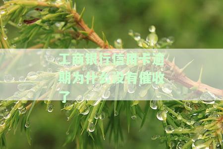 工行逾期后信用卡无额度，如何恢复？