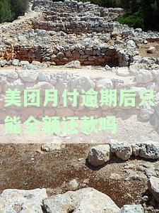 美团月付逾期后只能全额还款吗，美团月付逾期处理方式：只支持全额还款吗？
