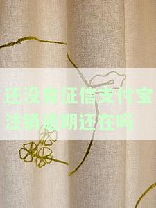支付宝有逾期记录注销再注册，如何处理支付宝逾期记录：注销后重新注册的步骤