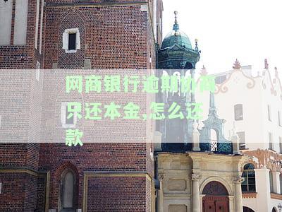 网商银行逾期协商只还本金？如何操作还款？