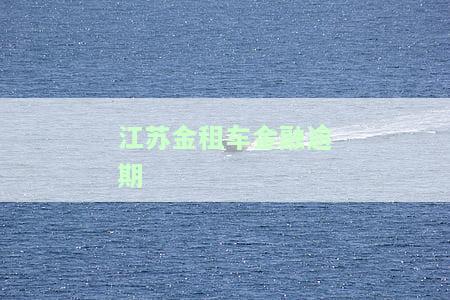 江金融租赁公司怎么样，深度解析：江金融租赁公司的业务模式、发展前景及投资价值