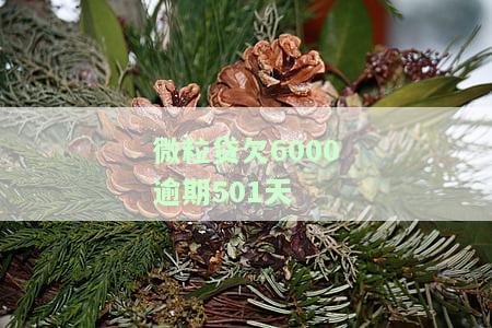 微粒贷逾期50天,欠款5000：可能面临的严重后果