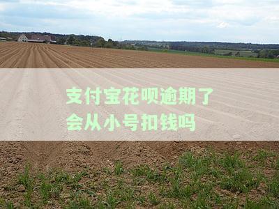 花呗逾期后会从支付宝账户直接扣款吗，花呗逾期：是否会自动从支付宝账户扣款？