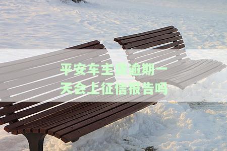平安车主贷逾期一天会上征信报告吗是真的吗，平安车主贷：逾期一天真的会显示在征信报告上吗？