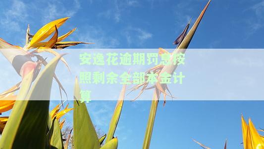安逸花逾期罚息按照剩余全部本金计算-安逸花逾期罚息按照剩余全部本金计算利息吗