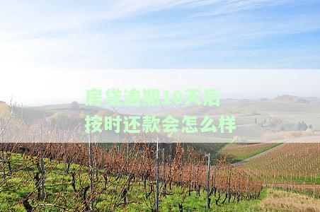 房贷逾期10天后按时还款会怎么样-征信逾期新规定2023年