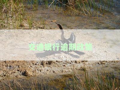 交通银行逾期最新方案，交通银行发布最新逾期解决方案