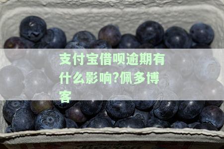 支付宝借呗逾期有什么影响?佩多博客