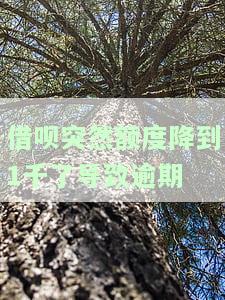 借呗额度突然降至1千，是否会导致逾期？解决方案是什么？